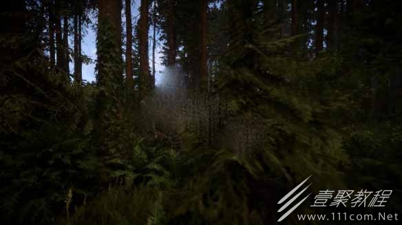 森林之子抢先体验方法详情