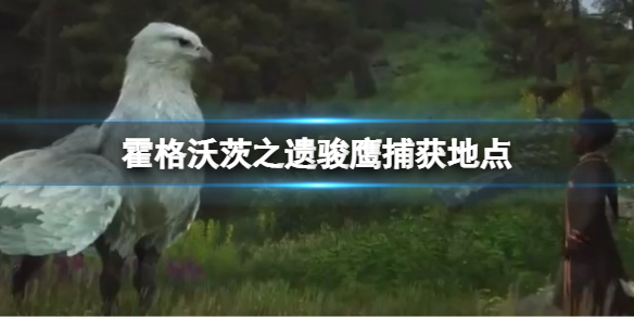 《霍格沃茨之遗》骏鹰捕获地点 骏鹰位置一览