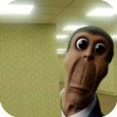 后室密室追逐下载