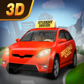 全民开驾校手机中文版