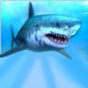 海上求生最新版