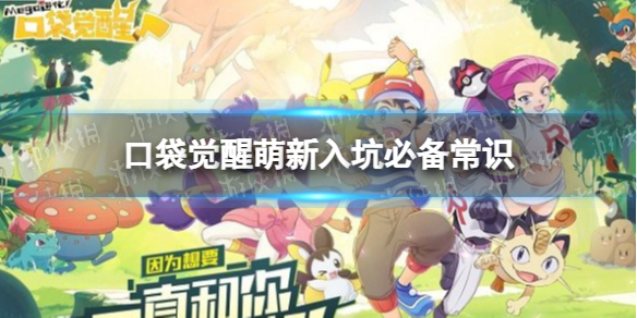 《口袋觉醒》萌新入坑必备常识口袋觉醒萌新要注意哪些