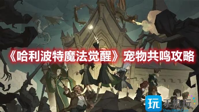 哈利波特魔法觉醒宠物共鸣方法是什么宠物共鸣攻略大全