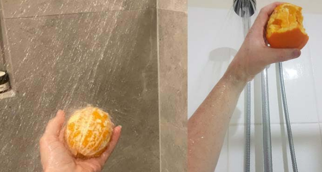 洗澡吃橙子是什么感觉，热带雨林当猴子。