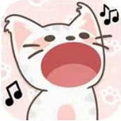 猫猫学园安卓版