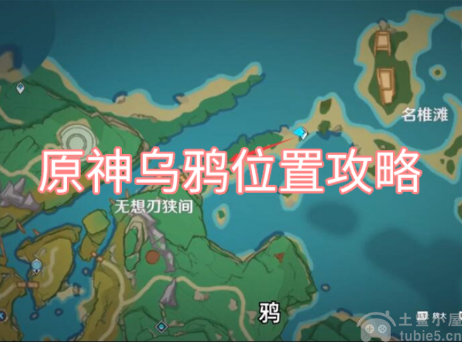 原神乌鸦在哪里抓乌鸦捕捉位置图文指引