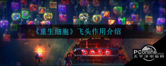 重生细胞飞头作用介绍