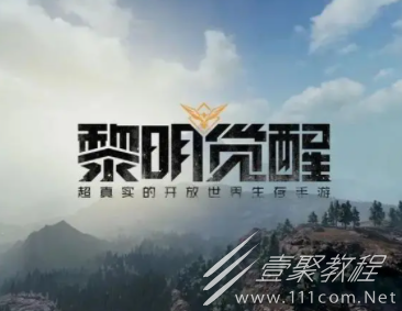 黎明觉醒闪银套装兑换码是什么