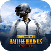 pubg龙王直装下载最新版本永久卡密