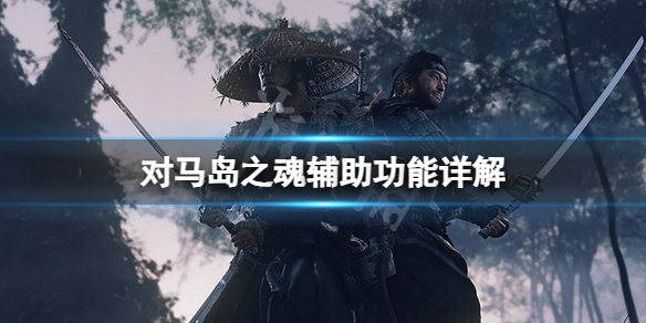 《对马岛之魂》辅助功能有什么用？辅助功能详解