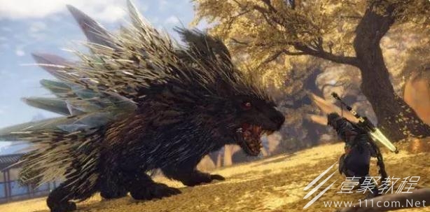 狂野之心五星罗刹首领打法心得