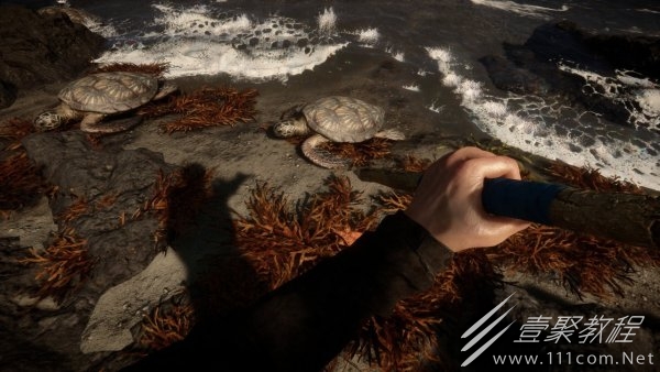 森林之子详细入门方法