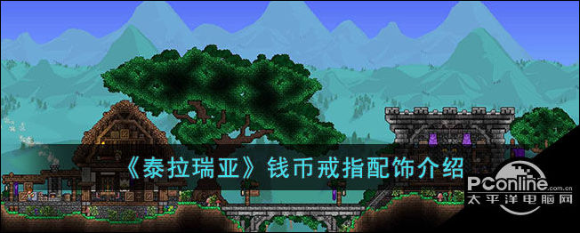 泰拉瑞亚钱币戒指配饰介绍