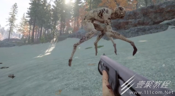 森林之子最终BOSS如何打