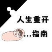 人生重开指南游戏安装