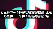 心里种下一个种子哒啦滴哒啦是什么梗心里种下一个种子嗒嗒滴嗒嗒介绍