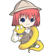 bacchikoisc正式版