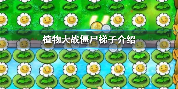 《植物大战僵尸》梯子介绍 什么叫搭梯子？