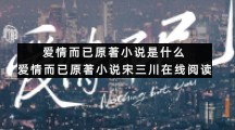 爱情而已原著小说是什么爱情而已原著小说宋三川在线阅读