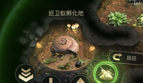 小小蚁国应该繁育什么蚂蚁