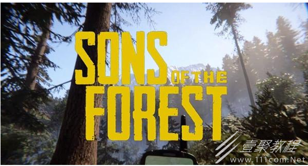 森林之子物品的ID是多少