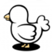 小鸡真奇怪免费正版