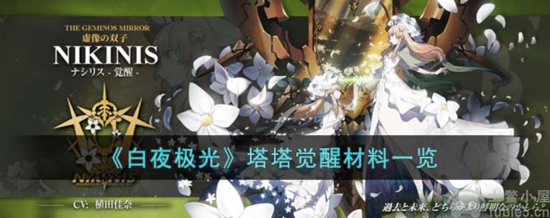 白夜极光塔塔觉醒材料有那些塔塔觉醒材料详细一览