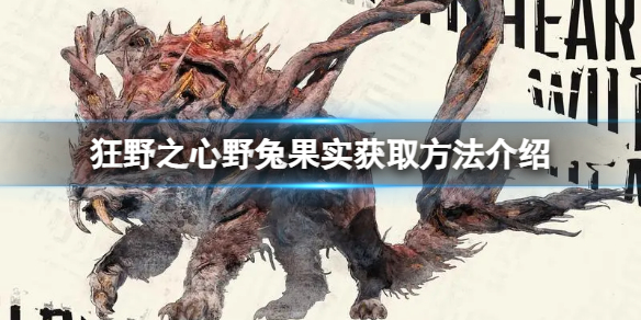 《狂野之心》野兔果实怎么获得？野兔果实获取方法介绍