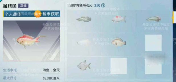 吃鸡绿洲世界垂钓等级在哪升级