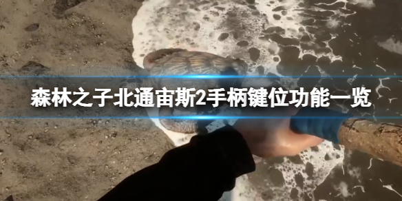 《森林之子》手柄怎么操作？北通宙斯2手柄键位功能一览