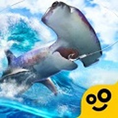 赶海之王下载包