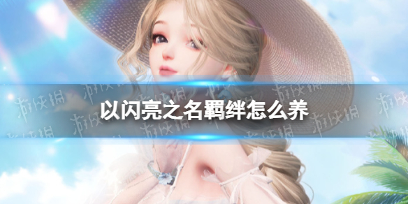 《以闪亮之名》羁绊怎么养羁绊培养策略
