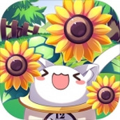 猫咪花盆下载最新版