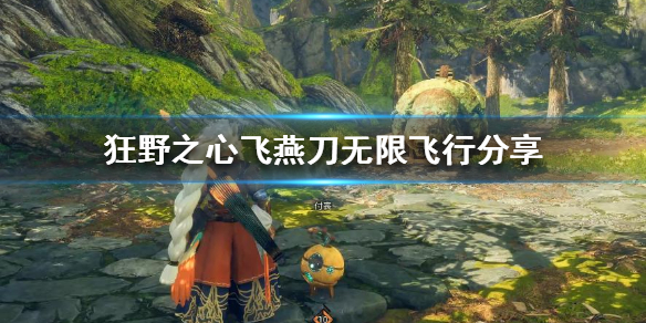 《狂野之心》飞燕刀无限飞行分享  飞燕刀怎么无限飞？