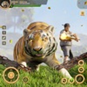 狮子攻击动物狩猎模拟器安装