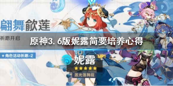 《原神》3.6版妮露简要培养心得  妮露怎么培养？