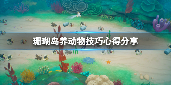 《珊瑚岛》养动物有什么技巧？养动物技巧心得分享