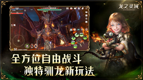 龙骑士降临！网易3D魔幻冒险手游《龙之灵域》“龙灵觉醒”首测重磅开启！