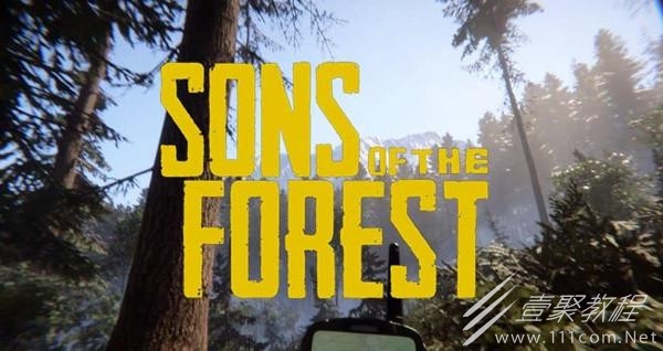 森林之子磁卡和GPS定位器位置一览