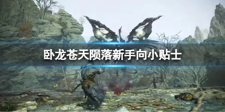 《卧龙苍天陨落》新手向小贴士　新手应该注意什么？