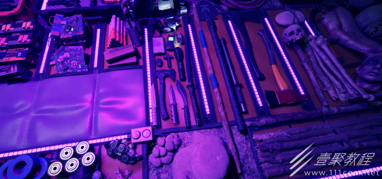 森林之子人头木桩怎么用