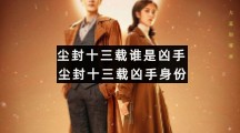 尘封十三载谁是凶手尘封十三载凶手身份