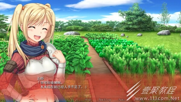 美好国度的建设方略初始选项选什么好