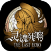 灵魂残响完整版