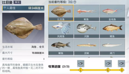 和平精英钓鱼大赛上限数量解答