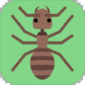 切叶蚁模拟器完整版