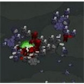 右键召唤最新版