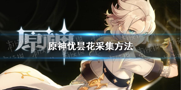 《原神》忧昙花为什么会消失？ 忧昙花采集方法
