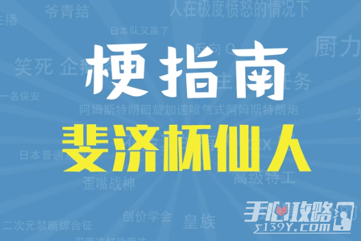 斐济杯仙人是什么意思