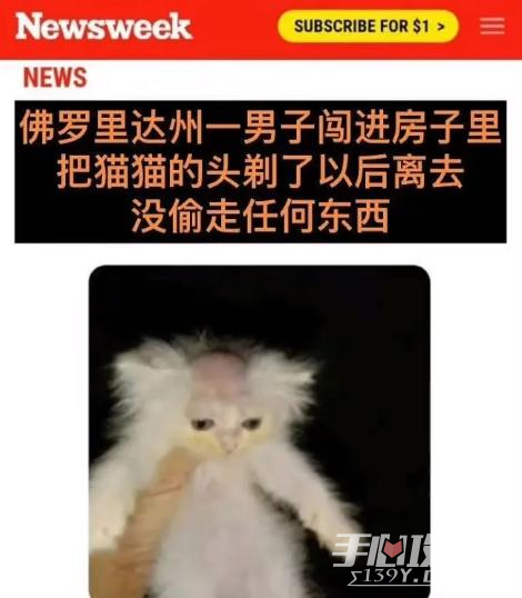 佛罗里达不养闲人梗含义